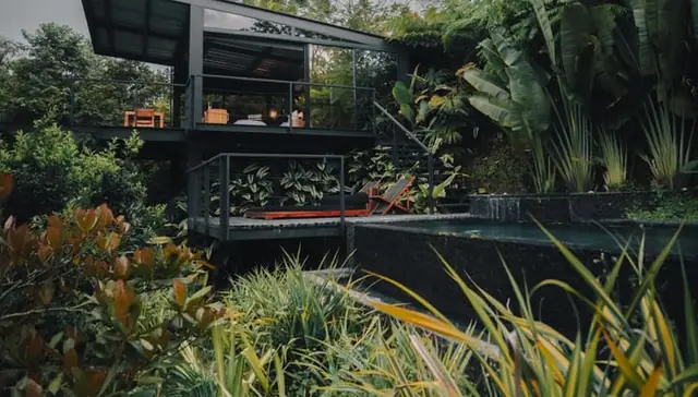 El bosque de Bio Habitat Hotel, en Armenia